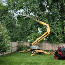 Best Lawn Maintenance Plans  in New Market, VA