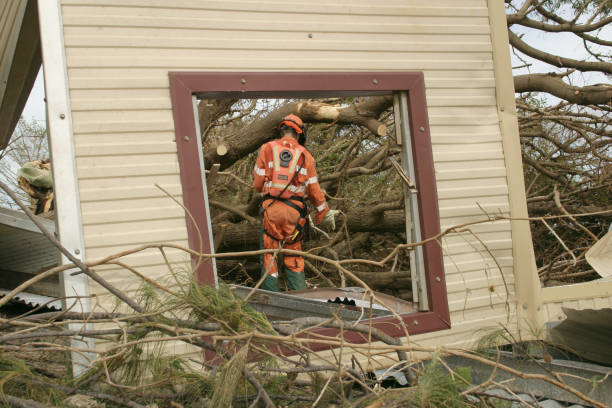 Best Tree Removal  in New Market, VA